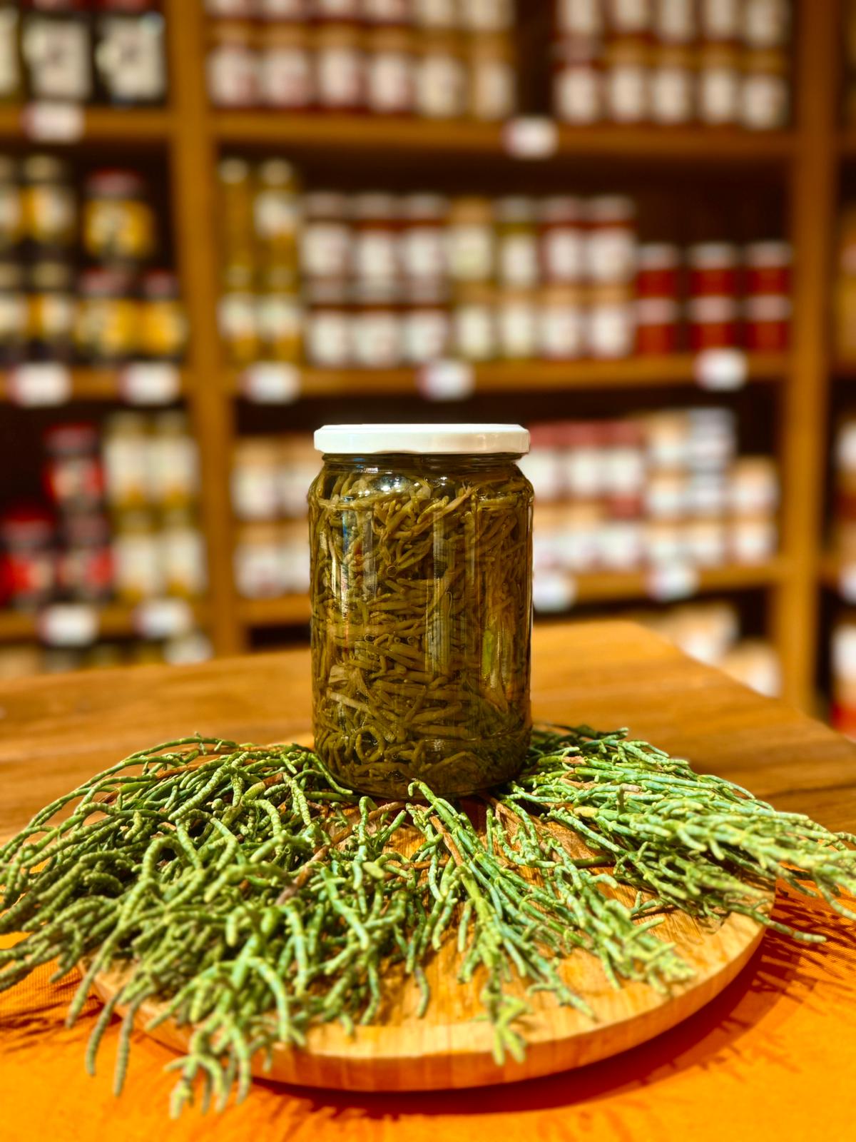 660 CC Deniz Börülcesi