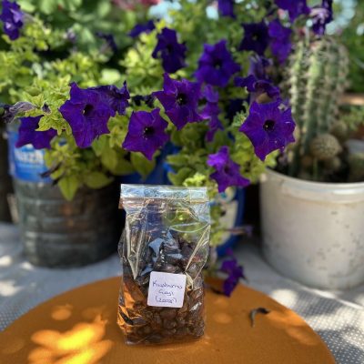 200 Gr Kuşburnu Çayı