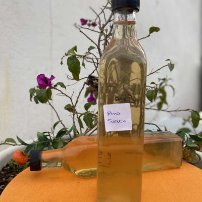 500 Ml Elma Sirkesi