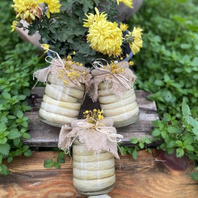 6'lı Orta Boy Çanak Enginar Konservesi 