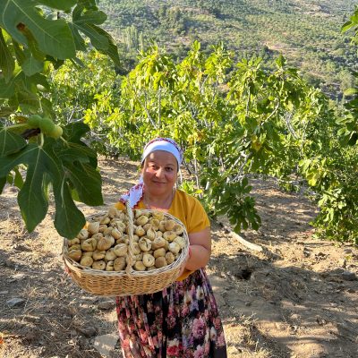 1 Kg Küçük Boy Dağ İnciri