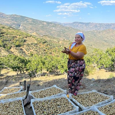 1 Kg Duble Boy Süzme Dağ İnciri