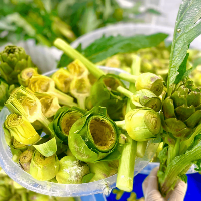 10 Adet Kalp + 10 Adet Bebek + 5 Adet Dolmalık