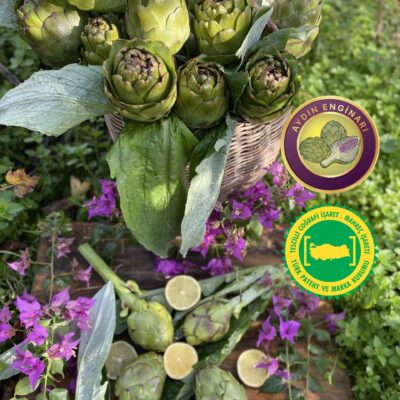 Dalından Kalp Enginar