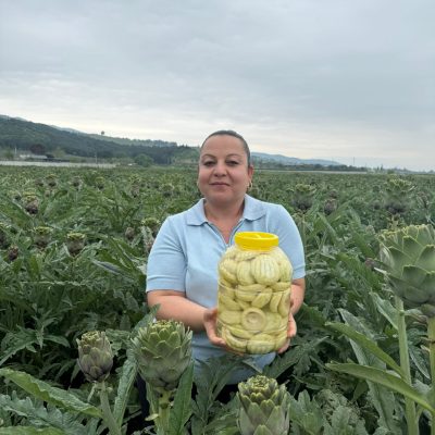 50'li Mini Boy Taze Çanak Enginar