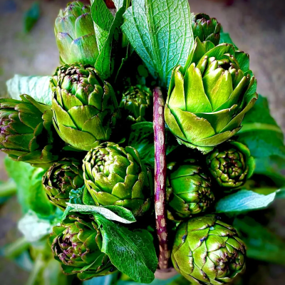 Dalından Dolmalık Enginar