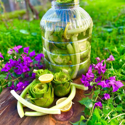 40 Adet Mix Paket (20 Çanak + 10 Bebek + 10 Dolmalık)