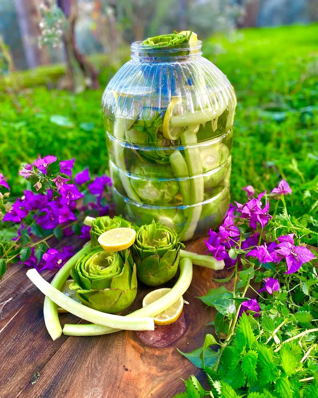 30 Adet Mix Paket (20 Çanak + 10 Dolmalık)