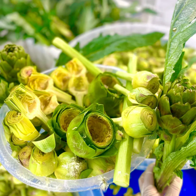 45 Adet Mix Paket (15 Çanak + 10 Bebek + 10 Dolmalık + 10 Kalp )