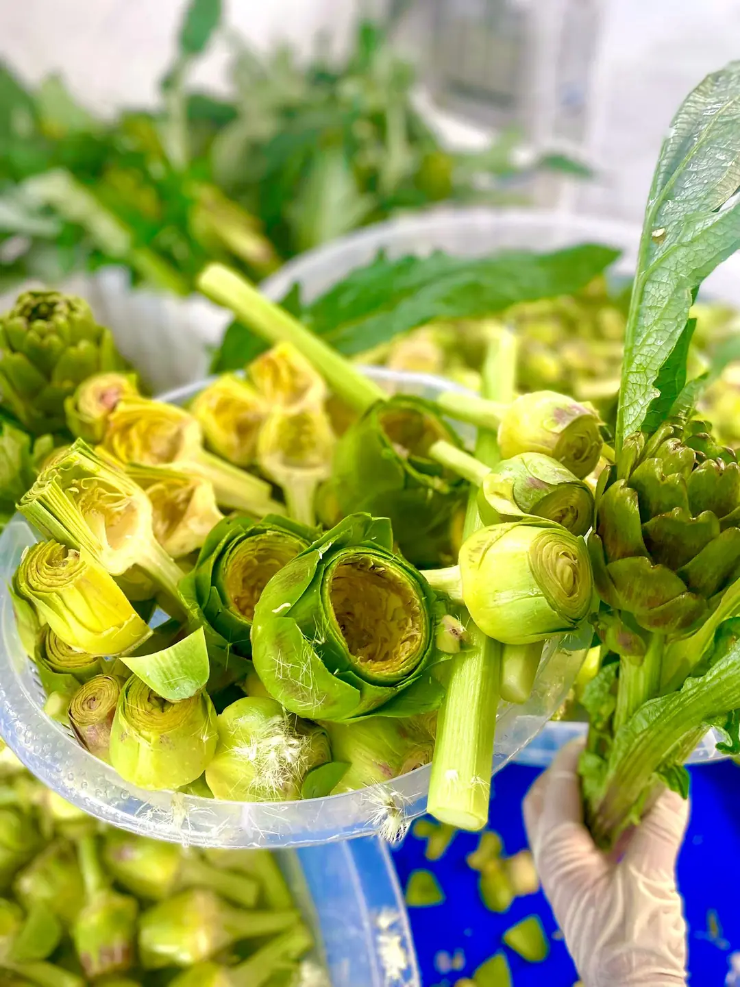 45 Adet Mix Paket (15 Çanak + 10 Bebek + 10 Dolmalık + 10 Kalp )