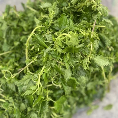 1 KG Isırgan Otlu Erişte
