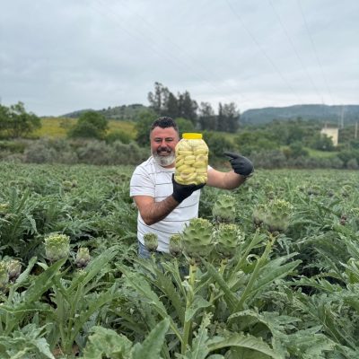 50’li Mini Boy Taze Çanak Enginar